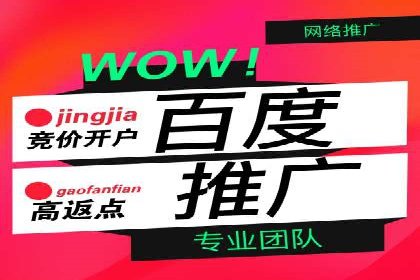 网络推广与竞价广告：双管齐下的策略案例